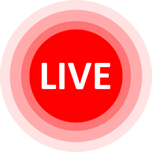 What Is A Paypig